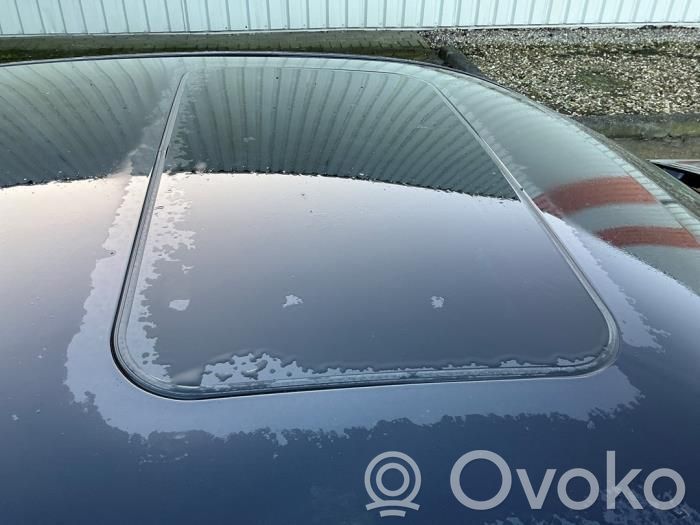 Porsche Panamera (970) Dach 