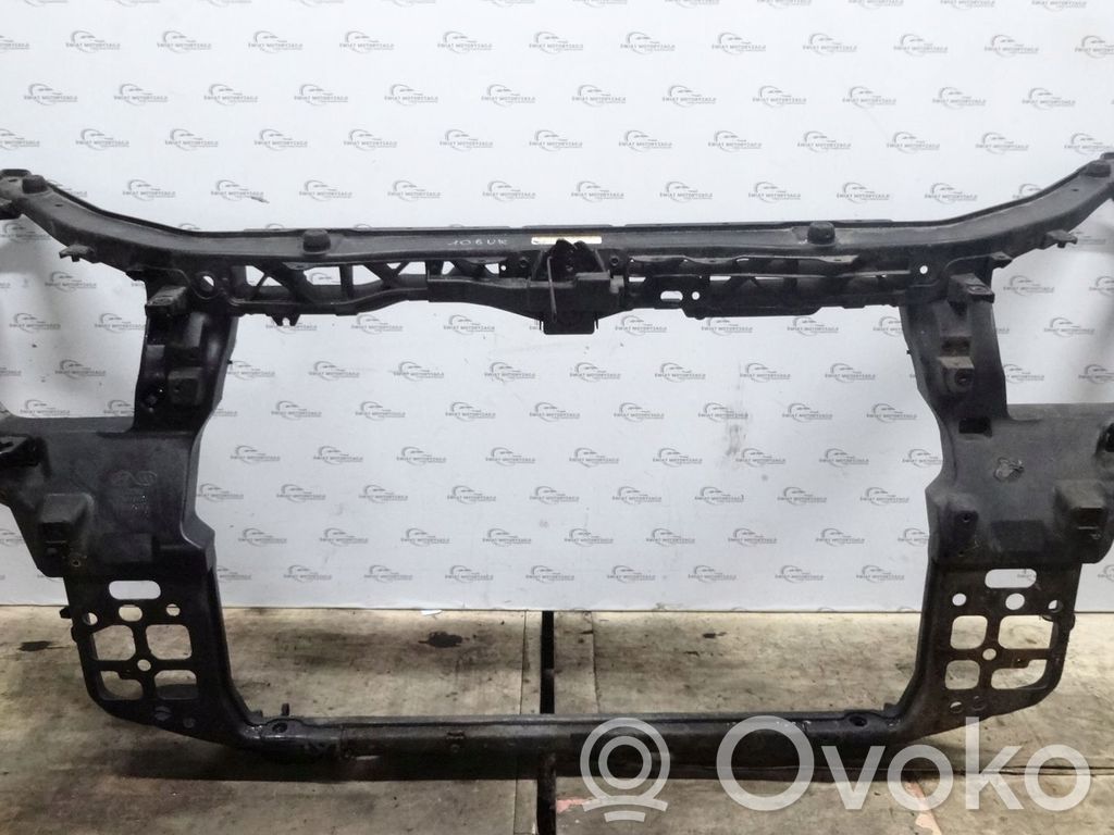 Hyundai Santa Fe Other control units/modules 