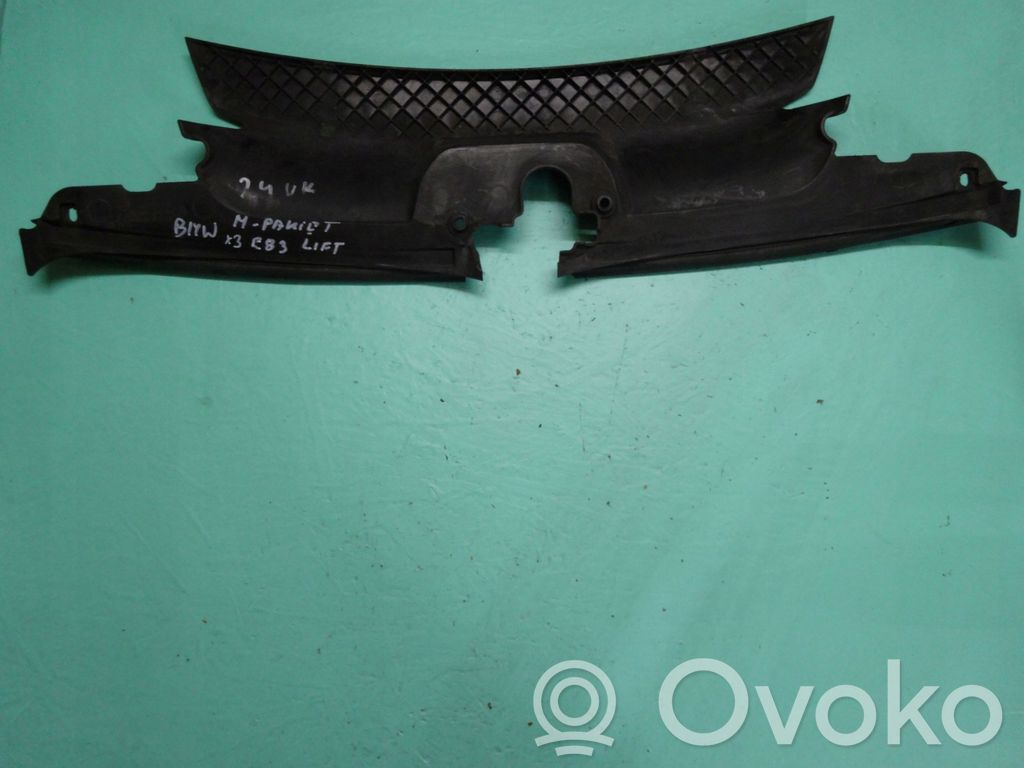 Radiator trim   6539357,3402286