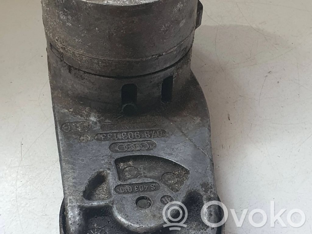 Audi A6 S6 C4 4A Napinacz paska wielorowkowego / Alternatora 