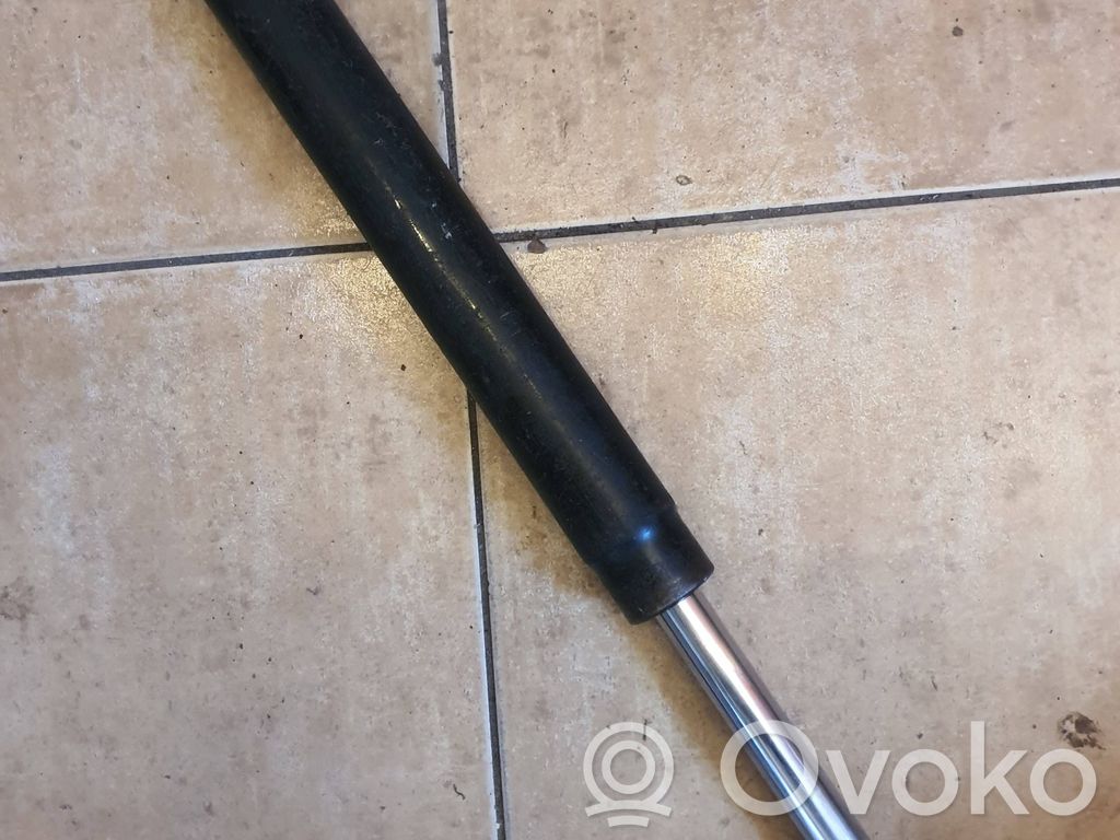 Stoßdämpfer vorne   06500100386,100886