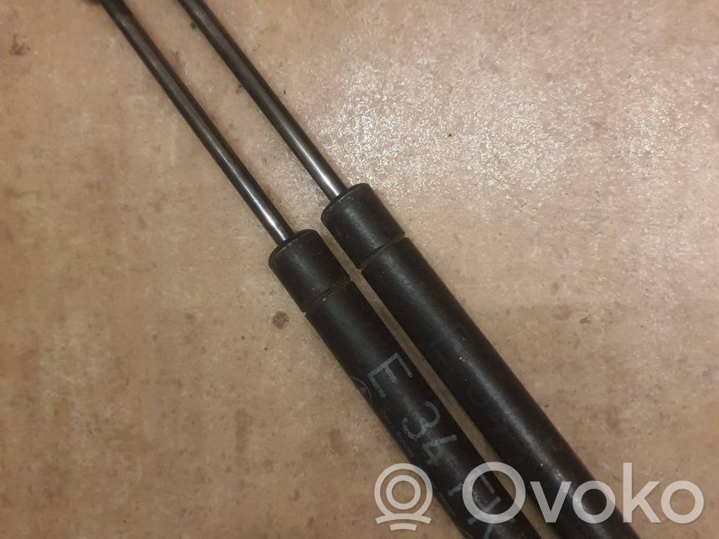 BMW 5 E34 Vyris (-iai) variklio dangčio 