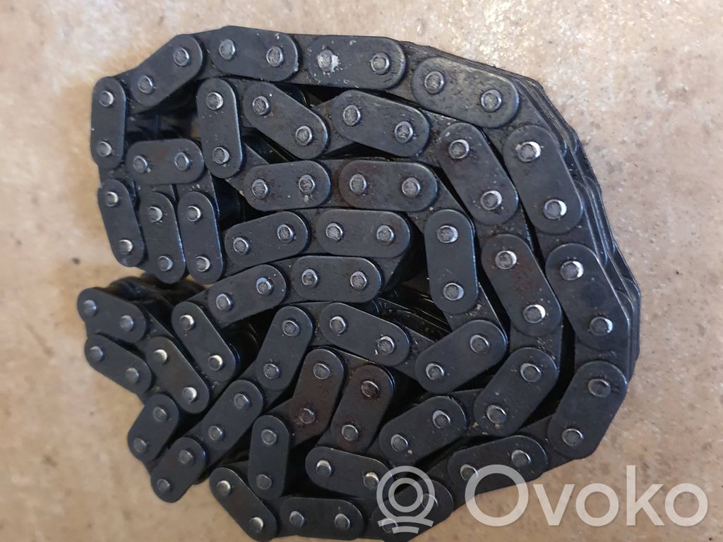 Steuerkette (Motor)   009809,0000