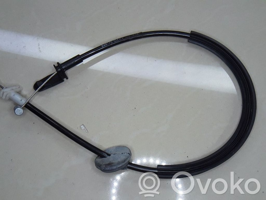 Trosīte   99817010306