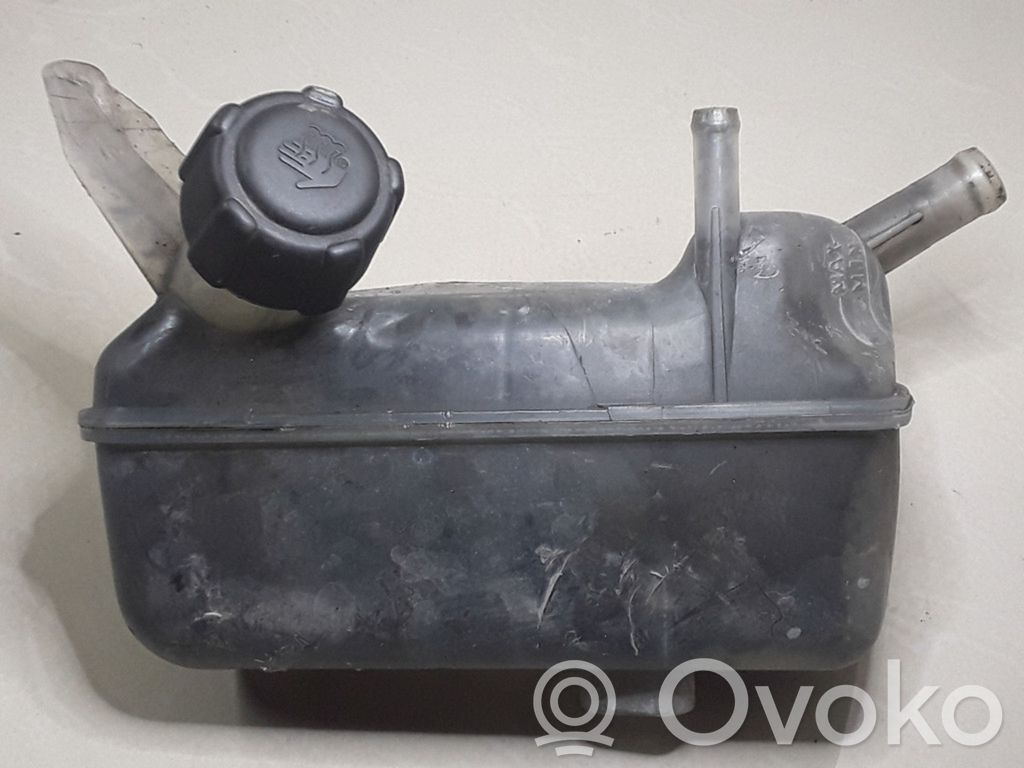Renault Megane II Zbiornik wyrównawczy chłodziwa 