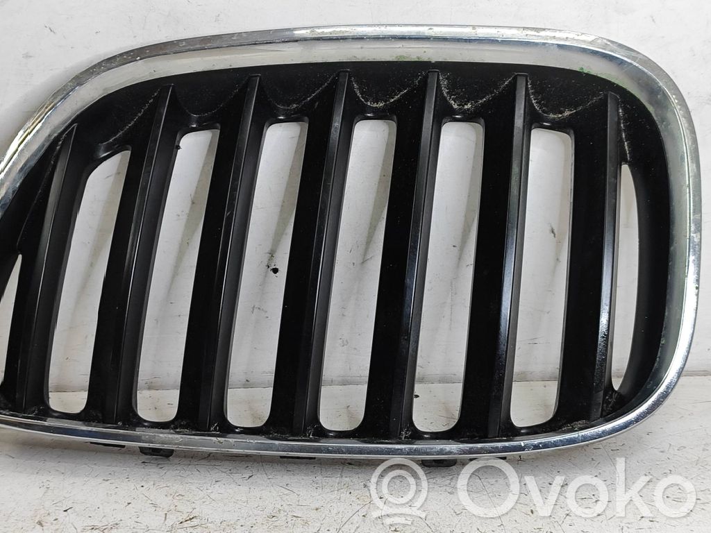 BMW X5 E53 Front bumper upper radiator grill 