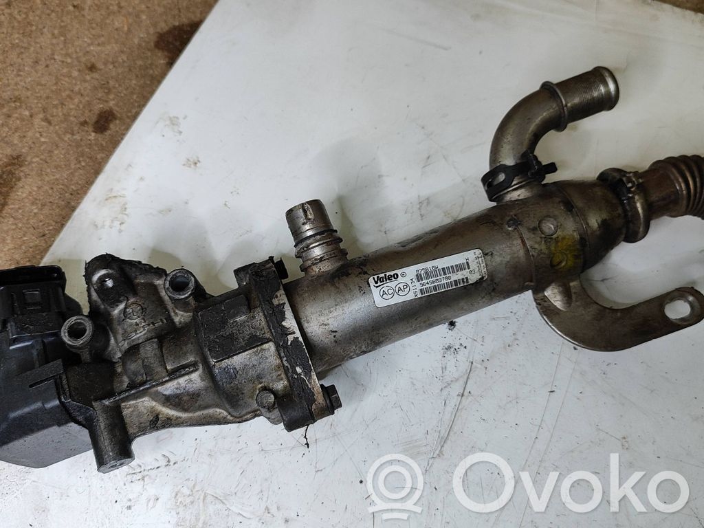 Válvula EGR   9645689780,875816W,8653691