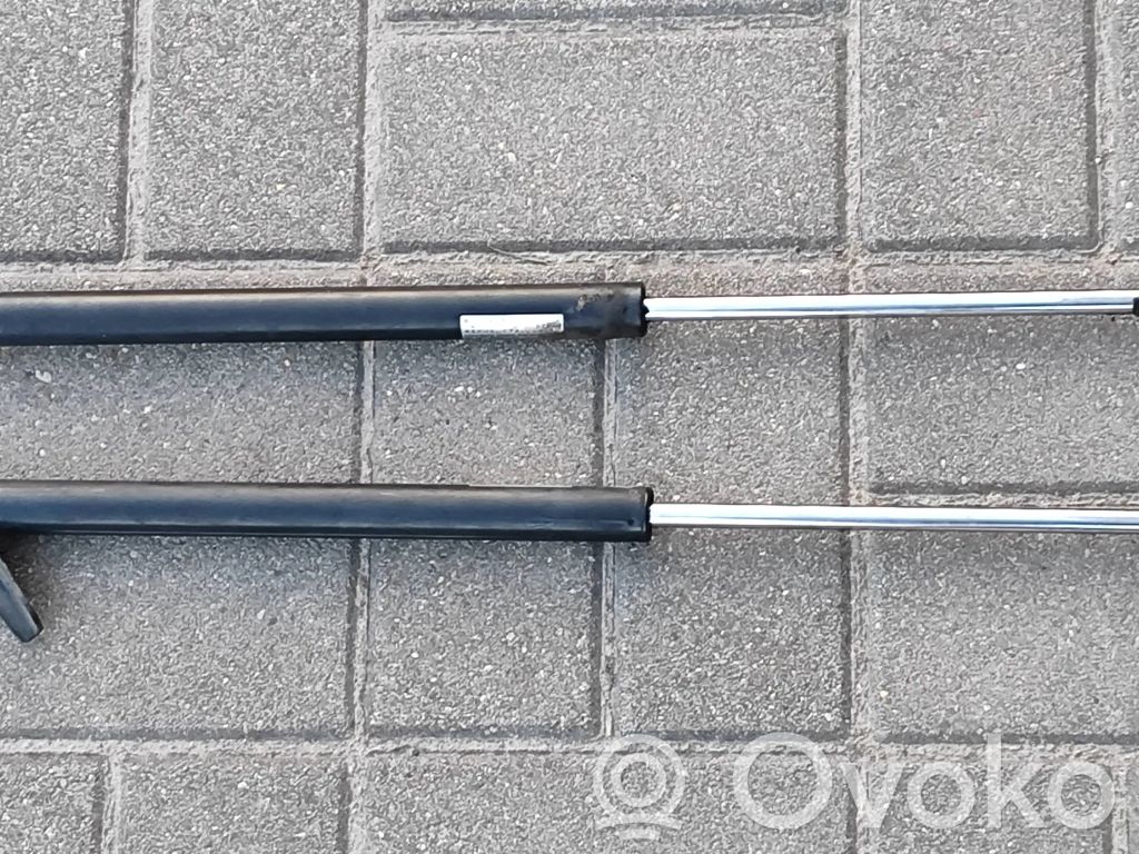 Tailgate/trunk strut/damper