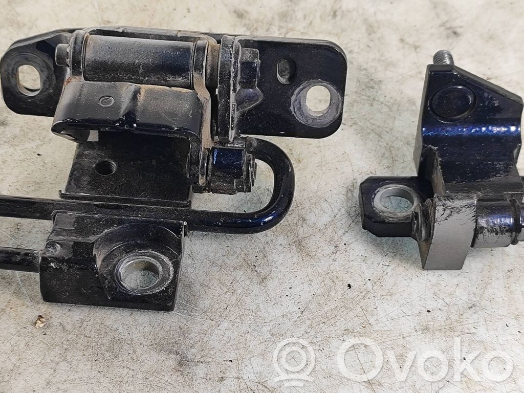 Volkswagen Phaeton Rear door hinge set 