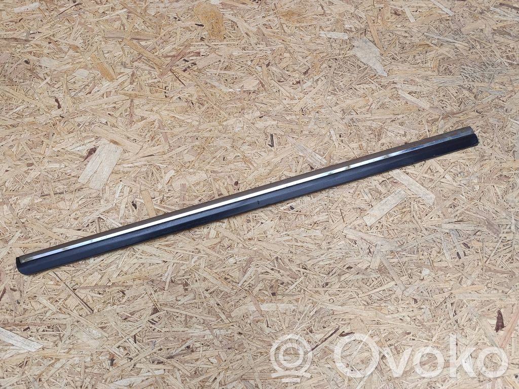 Volkswagen PASSAT B7 Etuoven lista (muoto) 