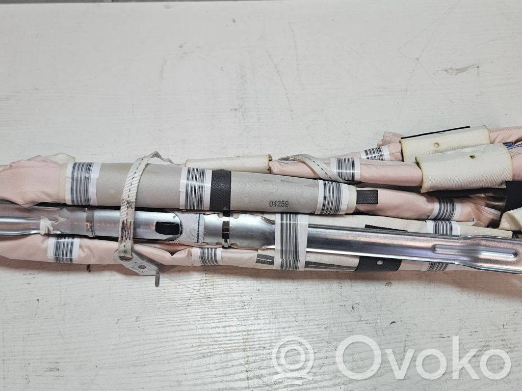 Chrysler Pacifica Airbag del techo 