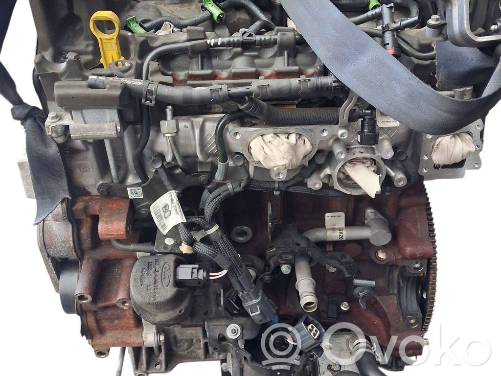 Motor   BCCC,137454646444,43365745424544500