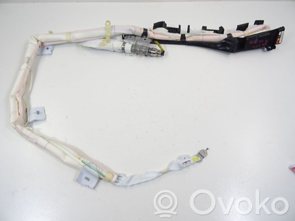 Airbag del techo   LEXUX,LEXUX,KOSTKA