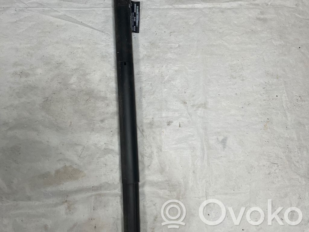 Chrysler Pacifica Aizmugurējā pārsega pievilcējs 