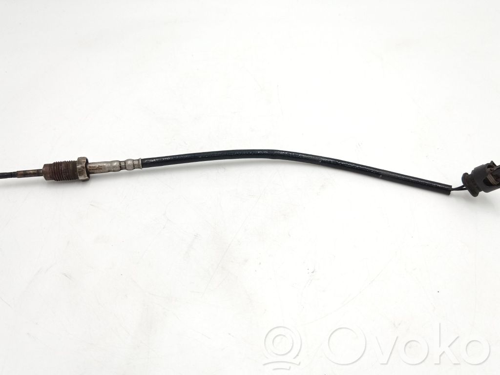 Abgastemperatursensor   7805607,13627805607
