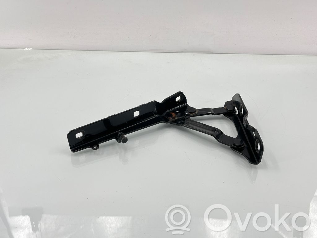 Tesla Model S Cerniere del vano motore/cofano 