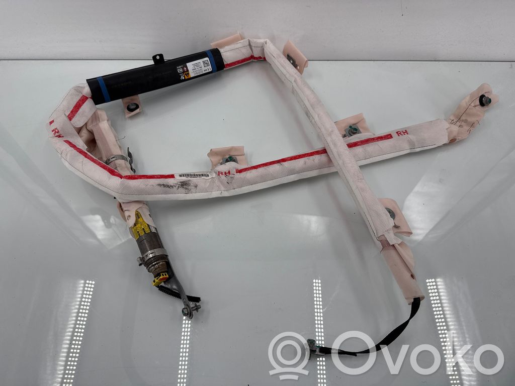Tesla Model S Airbag del techo 