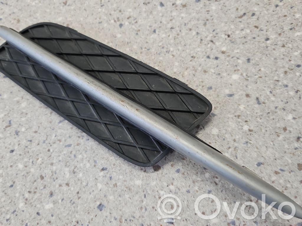 BMW X5 E70 Front bumper lower grill 