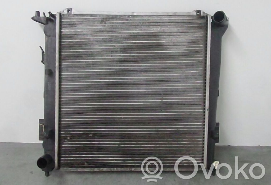 Coolant radiator   25310,2L600