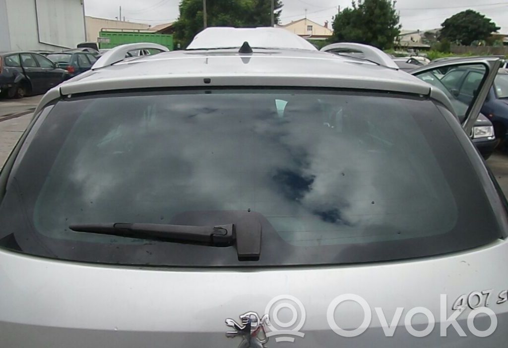 Rear windscreen/windshield window   OCULO