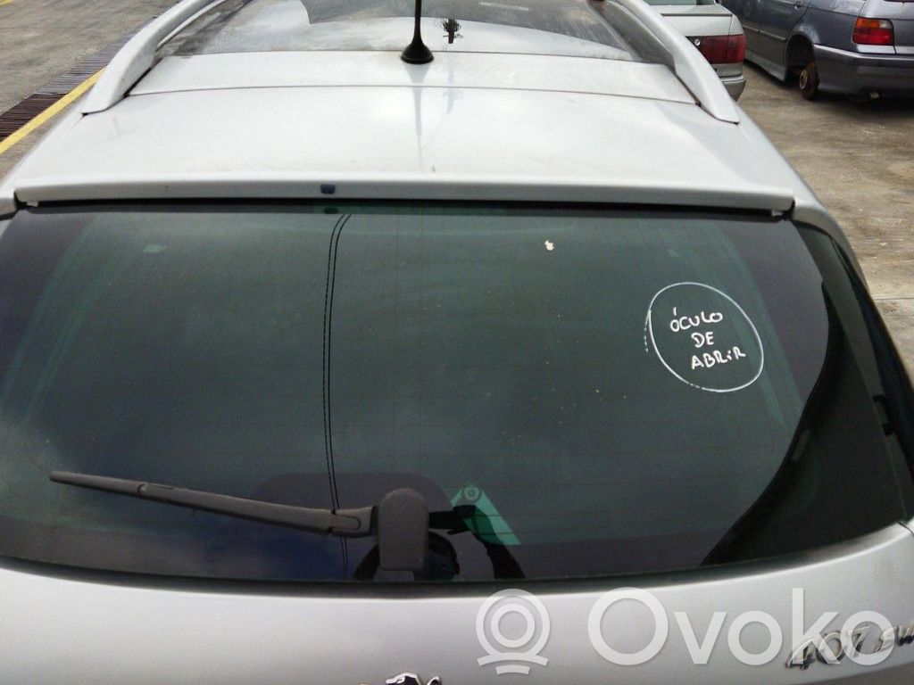 Rear windscreen/windshield window