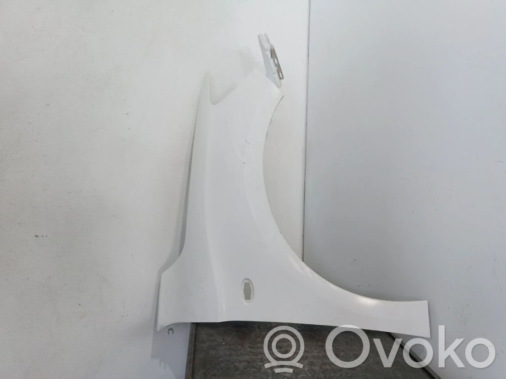 Fender   9674790480