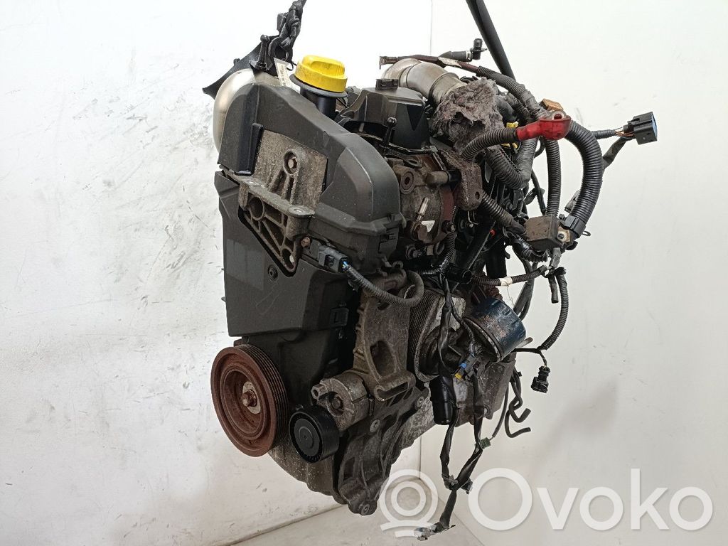 Silnik   K9K,036516,276