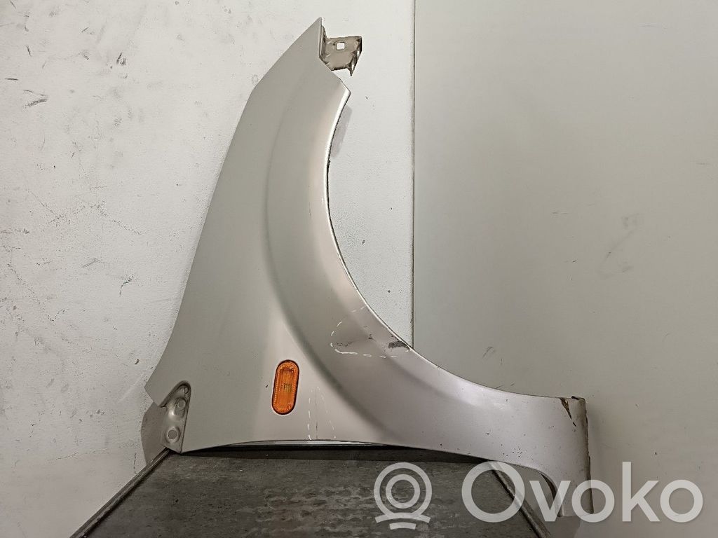 Guardabarro   1528047