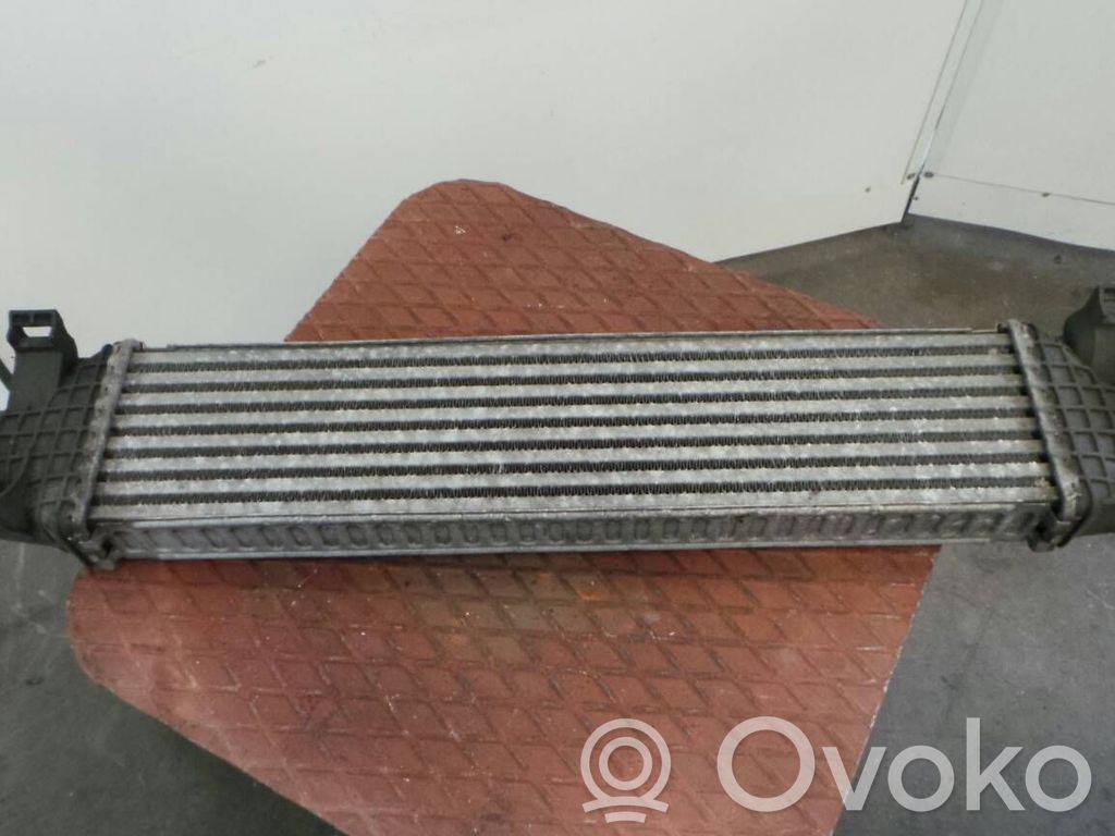 Intercooler radiator   1504023