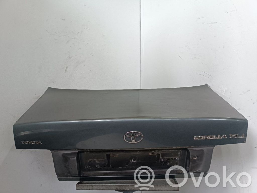 Tailgate/trunk/boot lid