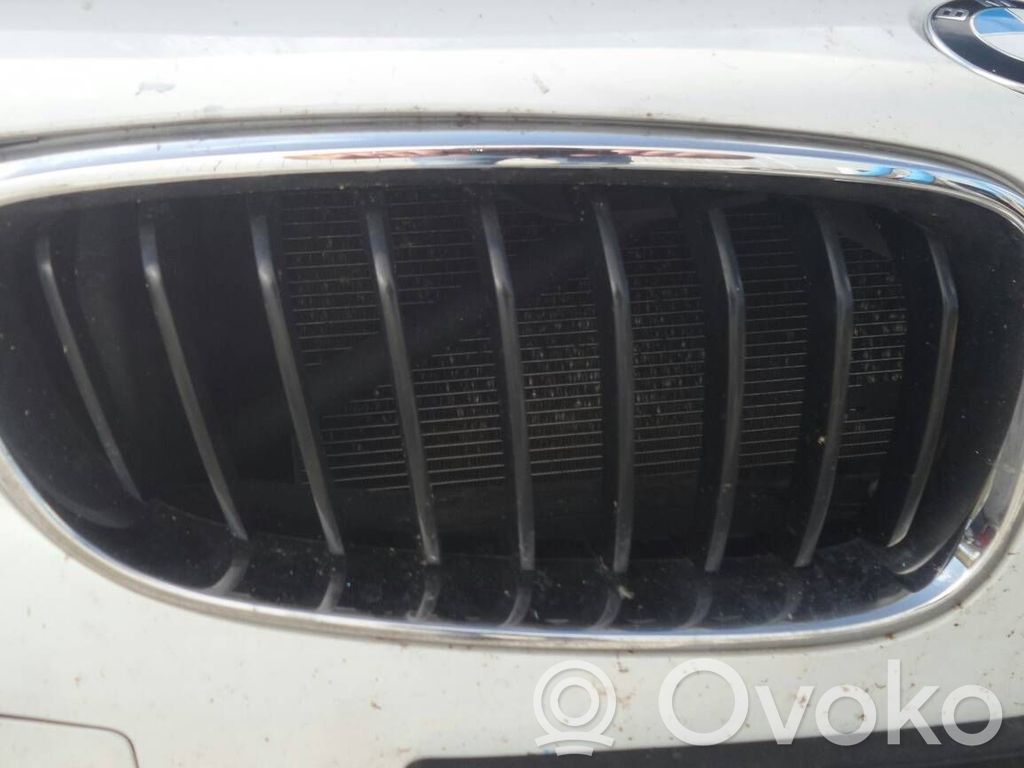 Front grill   729804,1810014