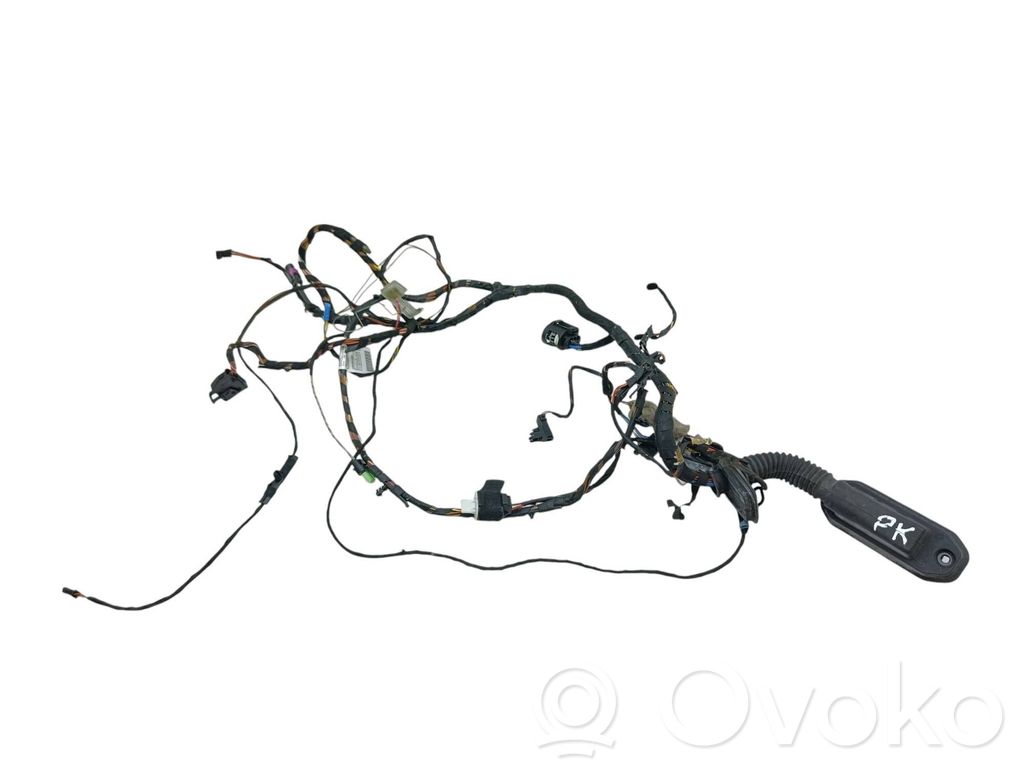 BMW X5 E70 Cableado de puerta delantera 