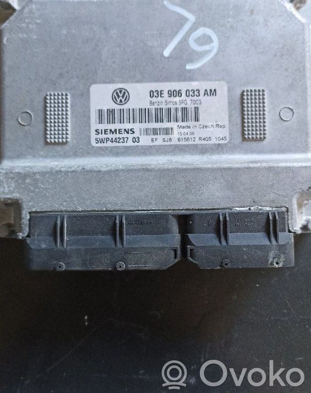 Engine control unit/module   03E906033AM,5WP4423703,SIEMENS