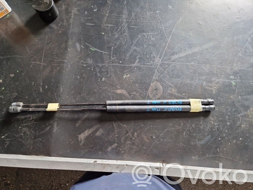 Tailgate/trunk strut/damper   3M51R406A10AB