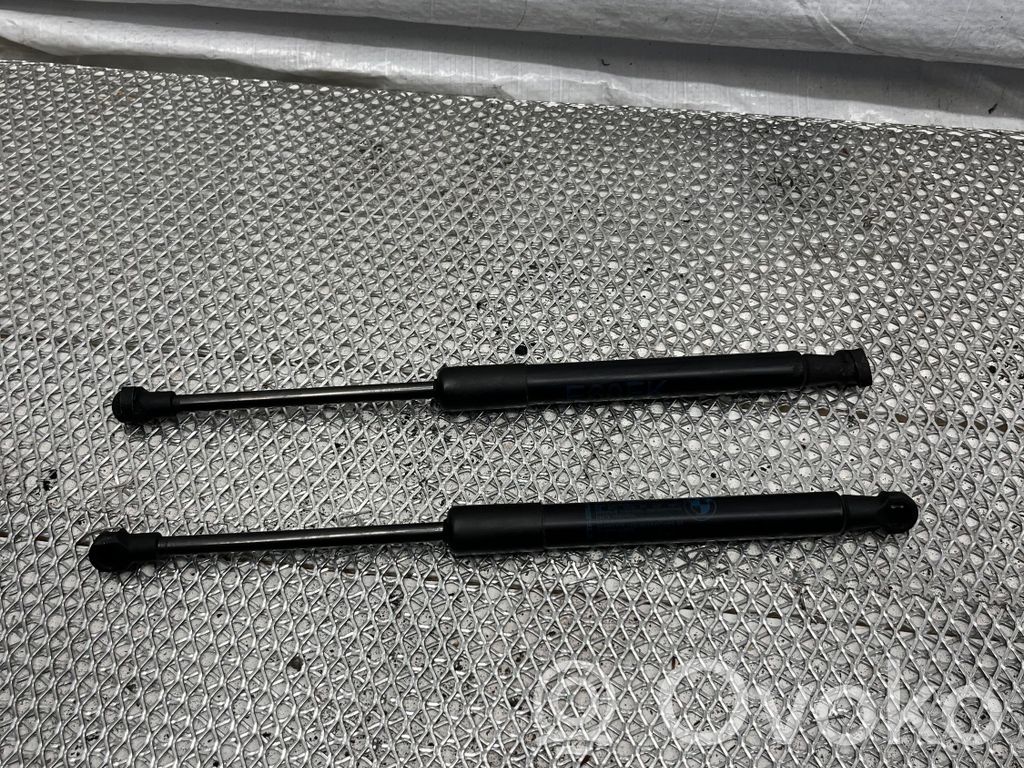 Dzinēja pārsega amortizators   0583WD