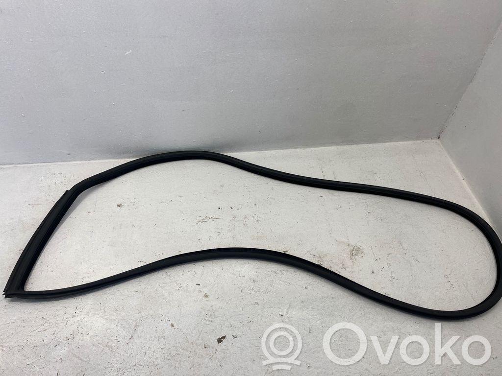 Front door rubber seal   7119091