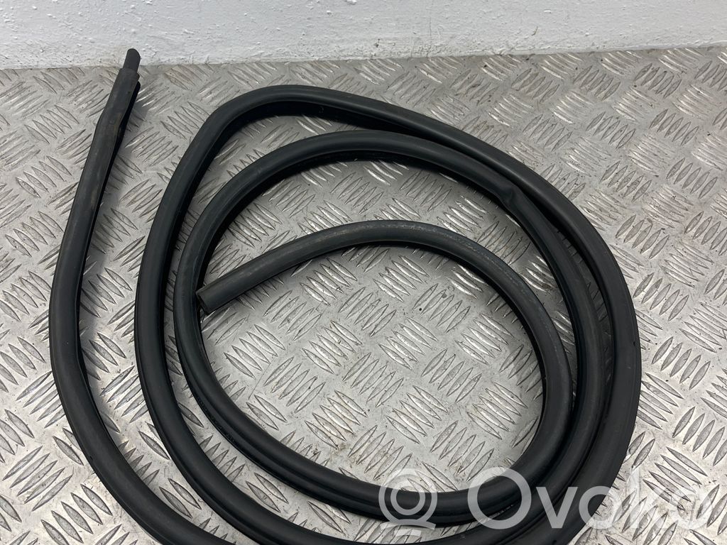 BMW 5 E60 E61 Front door rubber seal 