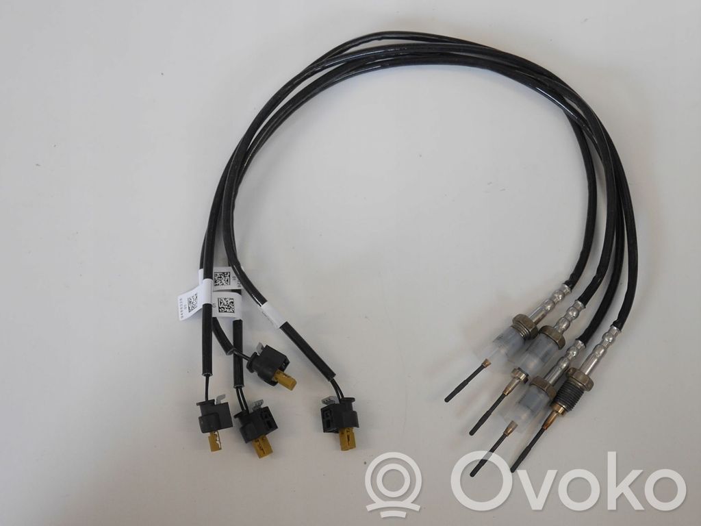 BMW X3 G01 Sensor de temperatura del escape 