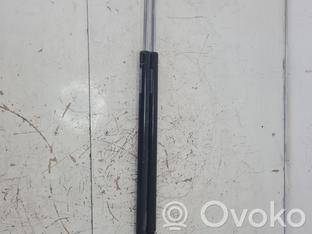 Tailgate/trunk strut/damper