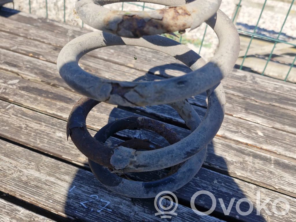 Rear coil spring