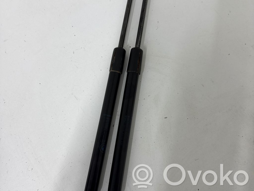 BMW 1 E81 E87 Tailgate/trunk strut/damper 