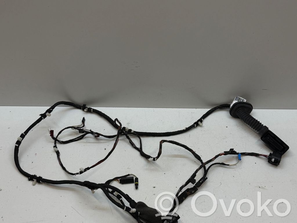 BMW X3 G01 Cableado de puerta trasera 