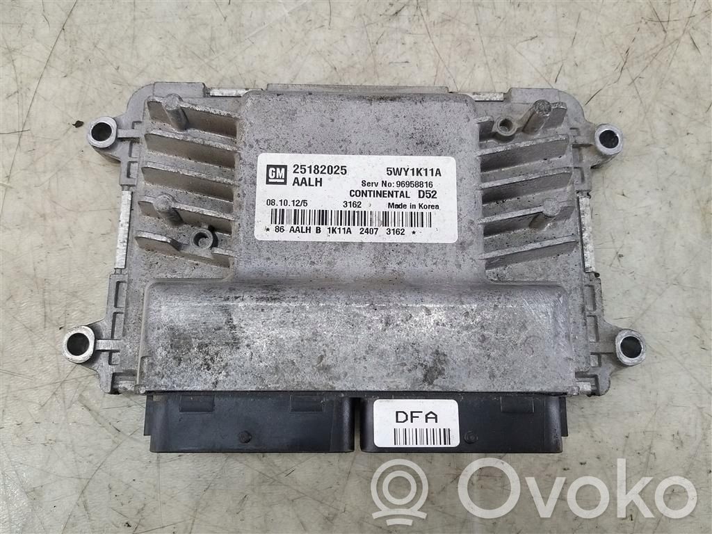 Engine control unit/module   25182025