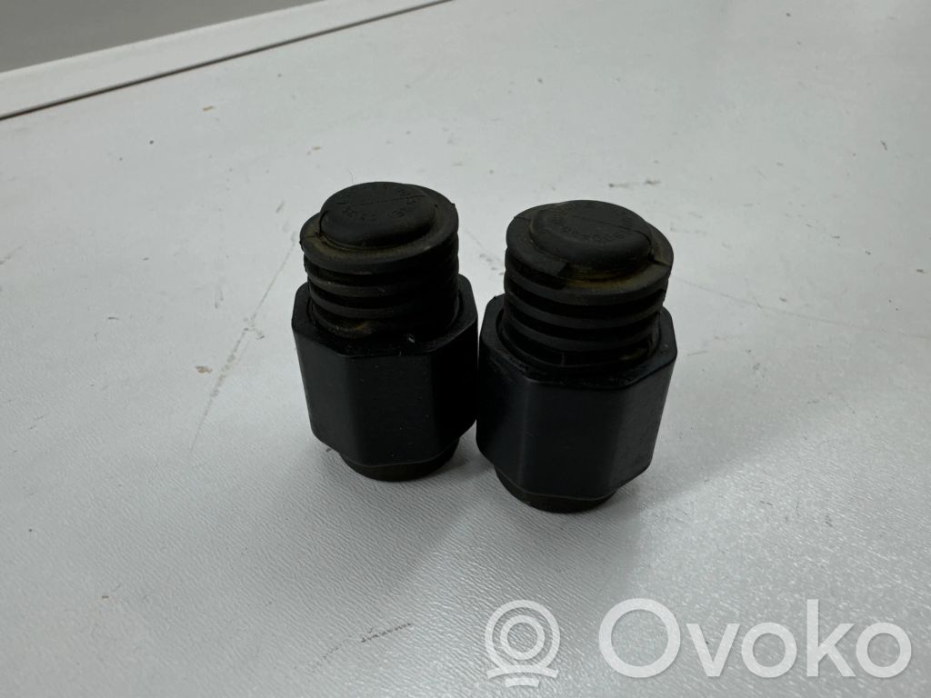 Tesla Model Y Tailgate/trunk/boot lid buffer 