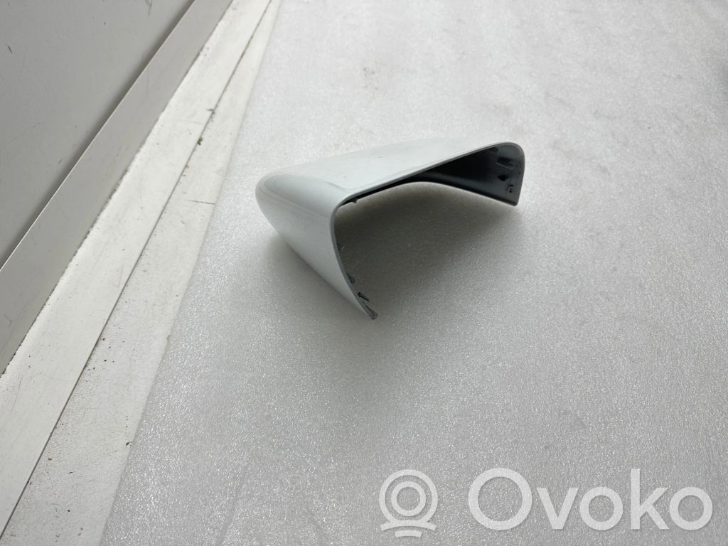 Tesla Model Y Plastic wing mirror trim cover 