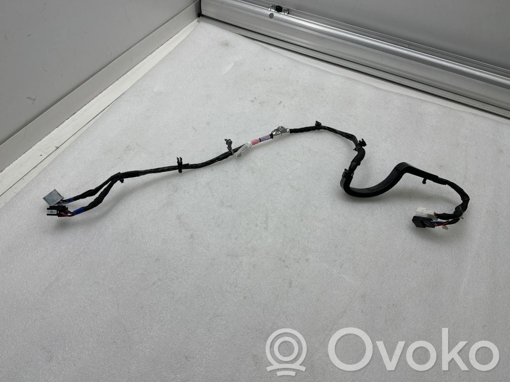 Tesla Model X Cableado de puerta trasera 