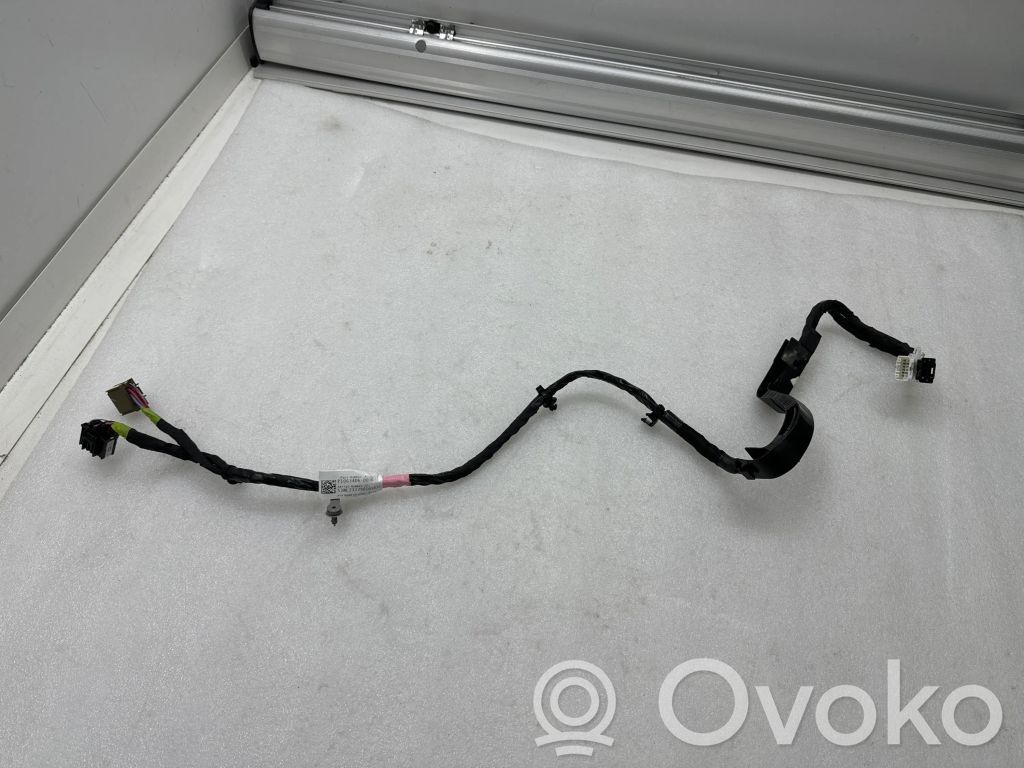 Tesla Model X Cableado de puerta trasera 