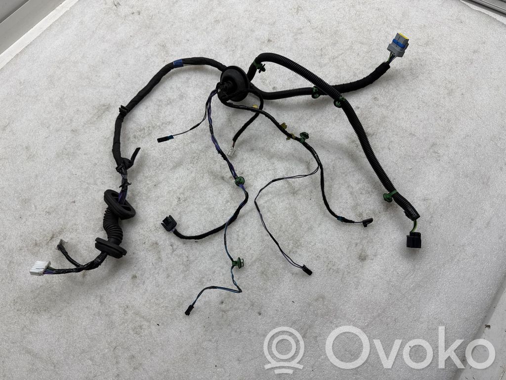 Cableado de puerta trasera   100442500M,T14D0014405,091411700003