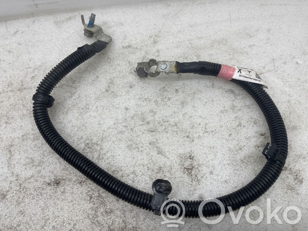 Tesla Model X Minusinis laidas (akumuliatoriaus) 