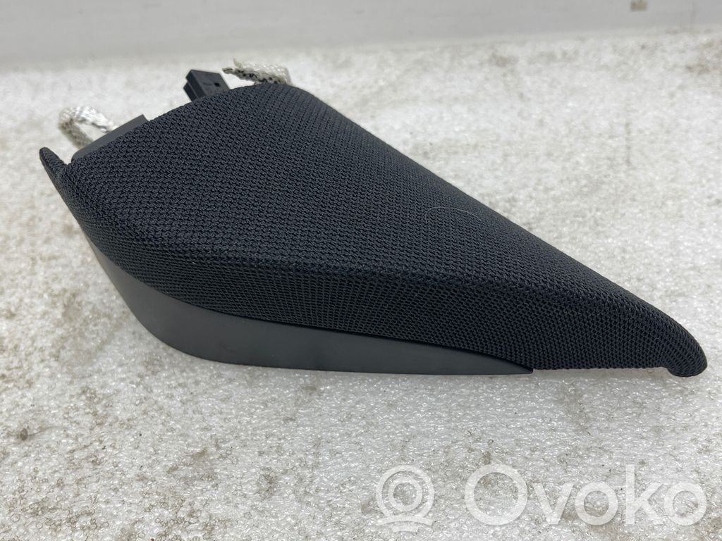 Panel speaker   166144800B